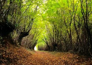 Nature Perche